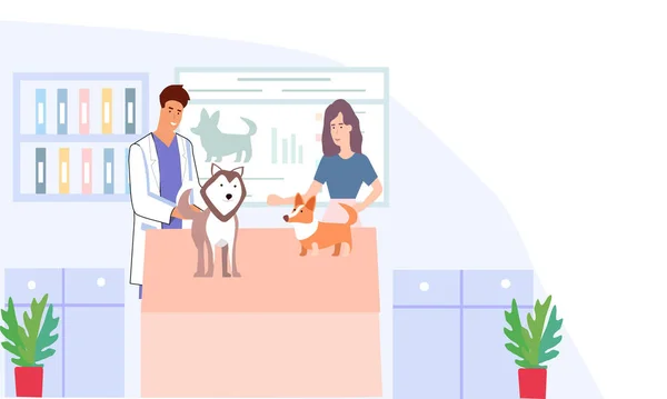 Veterinaire Kliniek Artsen Onderzoeken Honden Een Vector Graphics — Stockvector