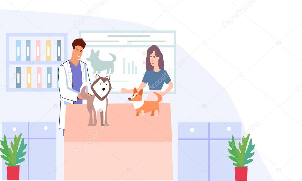 Veterinary clinic, doctors examine dogs, a vector graphics