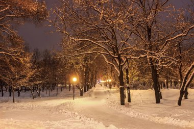 Yeni yıl, şehir Dnipro, Ukrayna'nın ülke
