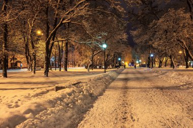 Ocak, başkalaşım Katedrali, ülkede Ukrayna Dnieper akşam şehir