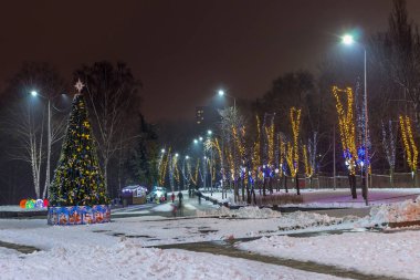 Park yeşil ağaçlık, şehir Dnipro, Ukrayna (eski adıyla Komsomolsky Park ülke)