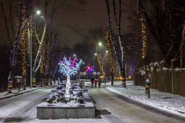 Park yeşil ağaçlık, şehir Dnipro, Ukrayna (eski adıyla Komsomolsky Park ülke)