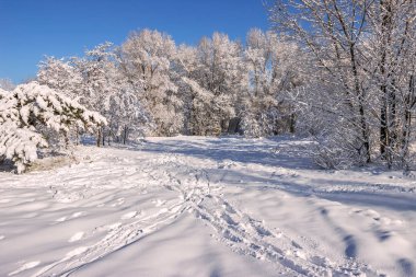 Ocak ayında, Dnipro, Ukrayna kar