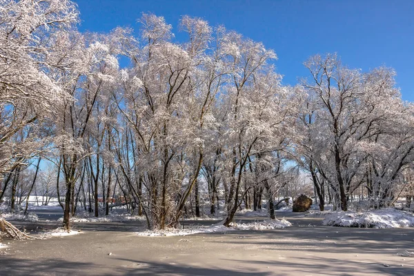 Nieve Enero Dnipro Ucrania —  Fotos de Stock