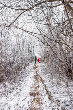 Soğuk Şubat sabah, vadide, Dnipro city, Ukrayna