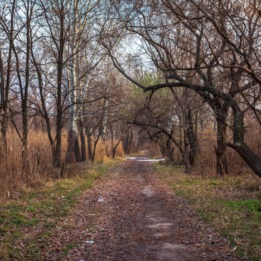 Kasım, şehir Dnipro, Ukrayna'nın kasvetli bir günün sonunda