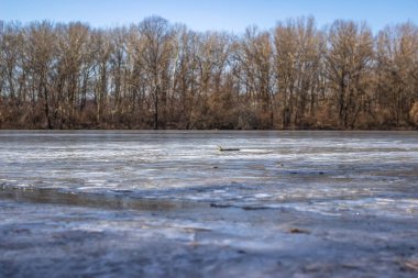Bahar, bahar zamanı, son buz, şehir Dnipro, Ukrayna geldi