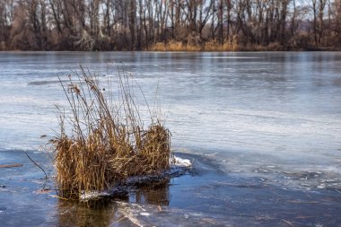 Bahar, bahar zamanı, son buz, şehir Dnipro, Ukrayna geldi