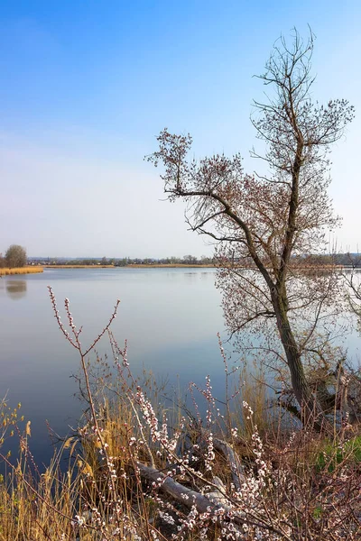 Våren Har Kommit Vår Tid Staden Dnipro Ukraina — Stockfoto