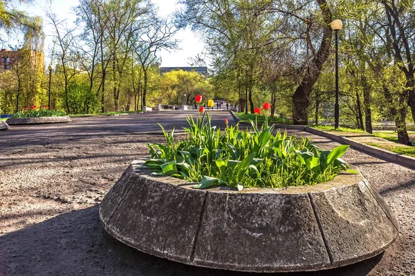 Lazar Globa Park Chkalov Park Dnipro Ucrania — Foto de Stock