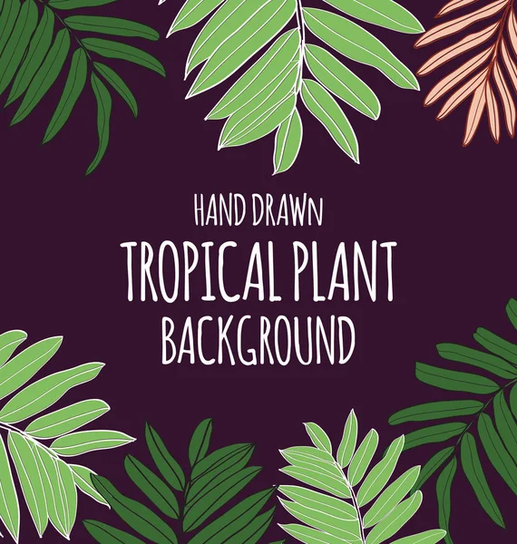 Fondo Plantas Tropicales Espacio Copia — Vector de stock