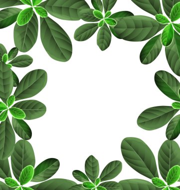 Yaprak sınır arka plan resmi.