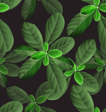 Yaprak Dikişsiz desen çizimi