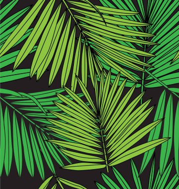 Tropik bitkilerin yaprakları ile illüstrasyon el çekilmiş. 