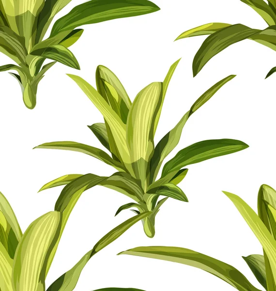 Vectorillustratie Van Tropische Plant Naadloze Patroon — Stockvector