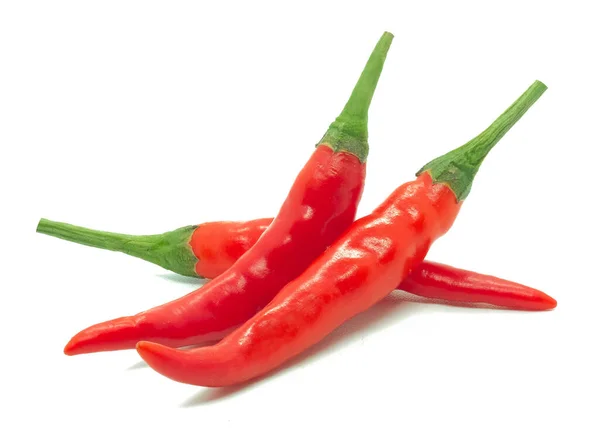 Chili Rojo Aislado Sobre Fondo Blanco — Foto de Stock