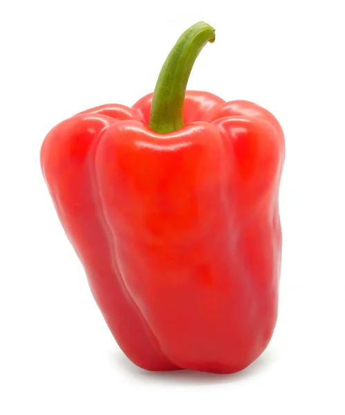 Свіжий Червоний Перець Овоч Ізольований Білому Тлі — стокове фото