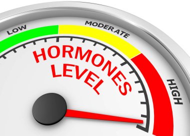 hormon seviyesi maksimum kavramsal metreye, 3d oluşturma
