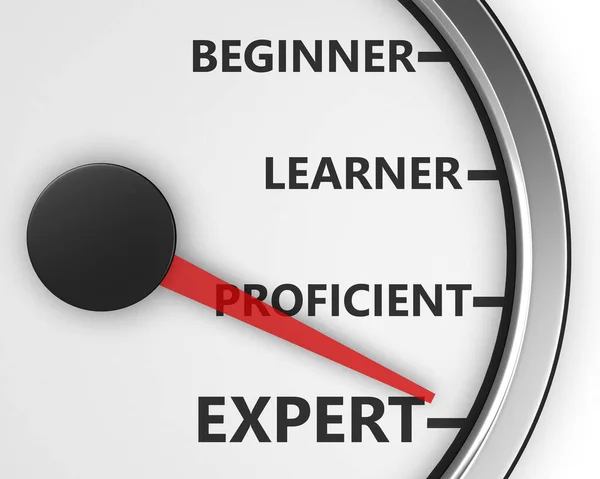 Professional Expert Learner Experience Illustration Meter Rendering — Stock Photo, Image