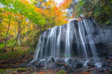 Şelale sonbahar renkleri kırmızı yapraklar Fukushima, Japonya