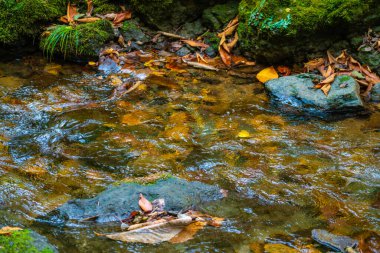 Fukushima Dağı nehri, Japonya