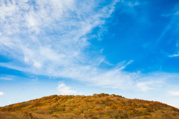 Solnedgång Mount Höstfärger Röd Blad Och Kopiera Utrymme Fukushima Japan — Stockfoto