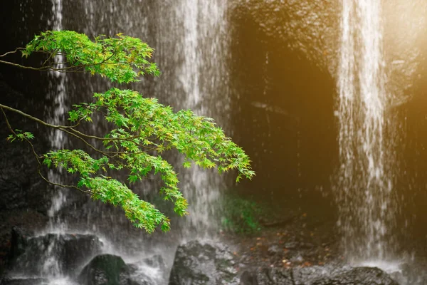 Cachoeira Cores Outono Vermelho Folhas Fukushima Japão — Fotografia de Stock