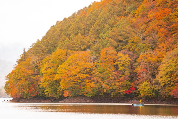 Cores Outono Vermelho Folhas Fukushima Japão — Fotografia de Stock