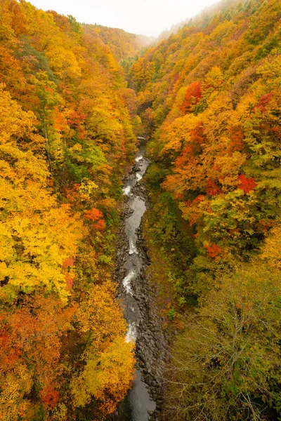 秋の福島県中津川橋 — ストック写真