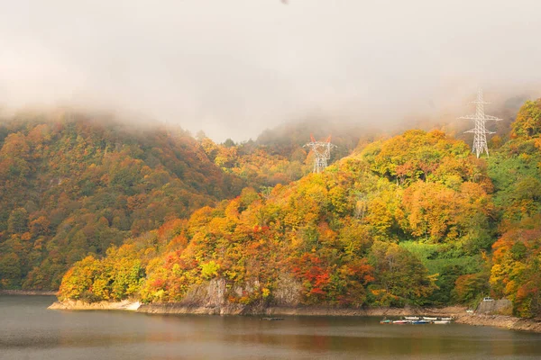 Sonbahar renkleri kırmızı yapraklar ve yüksek voltaj direği Fukushima, Japonya
