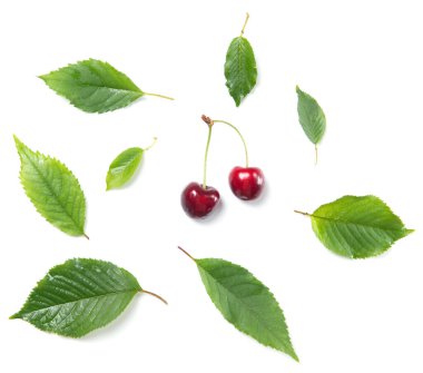 İki olgun kiraz çileği ve kiraz yaprağı deseni beyaz arka planda izole edilmiş.