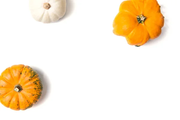 Cadre Avec Mini Citrouilles Décoratives Isolées Sur Fond Blanc — Photo