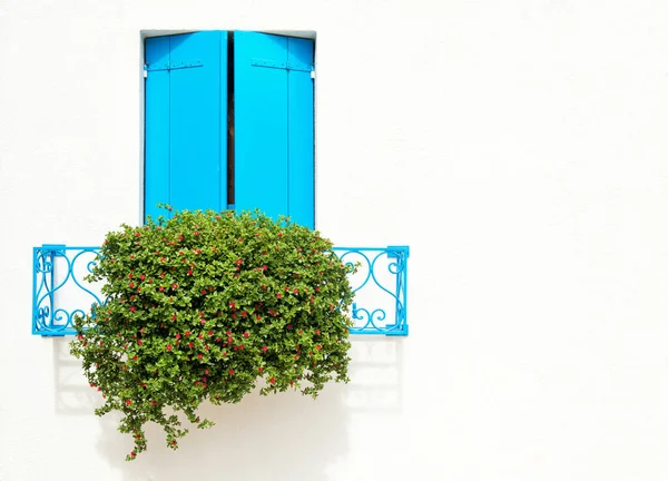 Belle Fenêtre Avec Volets Bleus Fleurs Sur Mur Blanc Maisons — Photo