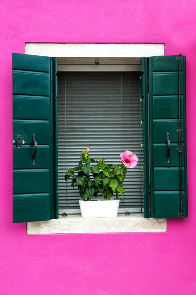 Belle Fenêtre Avec Volets Verts Fleurs Sur Mur Maison Rose — Photo