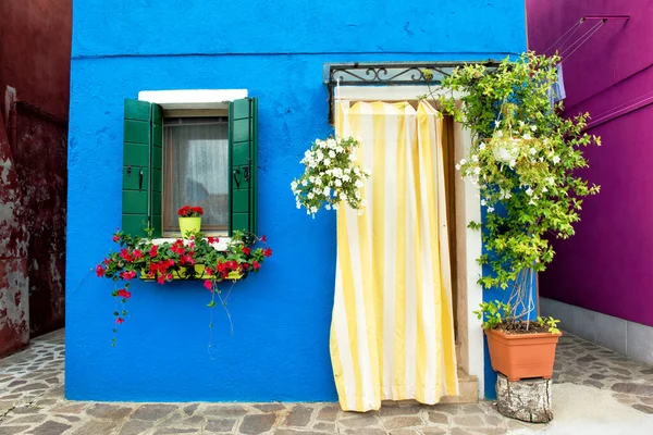 Frente Casa Azul Brilhante Com Flores Ilha Burano Veneza Itália — Fotografia de Stock