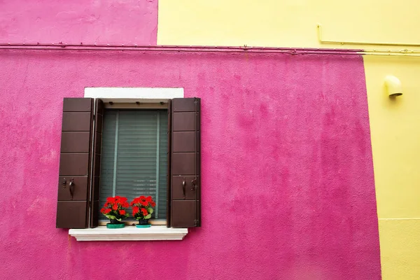 Fenêtre Avec Volets Fleurs Sur Mur Rose Jaune Maisons Colorées — Photo