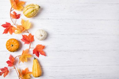 Sonbahar yaprakları ve beyaz ahşap zemin üzerinde mini balkabakları, kopyalama alanı, üst görünüm