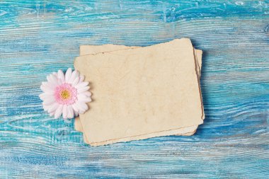 Eski boş kağıtlı tebrik kartı ve mavi ahşap arka planda pembe Gerbera papatya çiçeği.