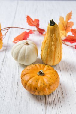 Mini balkabakları ve sonbahar yaprakları beyaz ahşap bir masada.