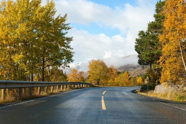 Jesienna Górska Droga Pięknymi Złotymi Drzewami Norwegia — Zdjęcie stockowe