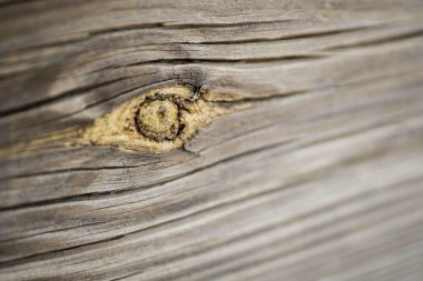 Kırsal ahşap gölde göz şeklinde düğüm.