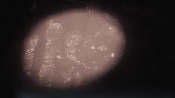 Empreintes digitales avec lumière infrarouge