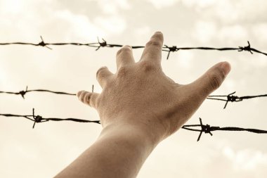 Mavi gökyüzünün arka planında dikenli bir telde insan eli
