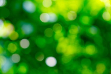 ufuk yeşil arka plan doku