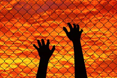 İnsan elleri çitin önünde.