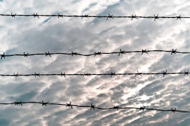 Mavi gökyüzü arka planında dikenli tel