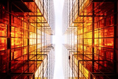 Şehirdeki modern cam binalar