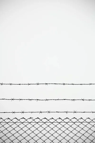 Колючий Дріт Паркан Білому Тлі — стокове фото