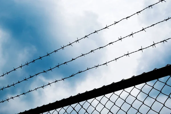 青い空の背景に対する有刺鉄線の塀 — ストック写真