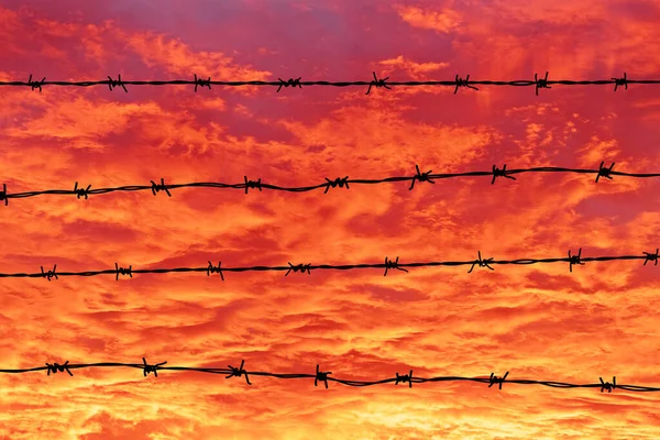 日没の空の背景にある有刺鉄線 — ストック写真